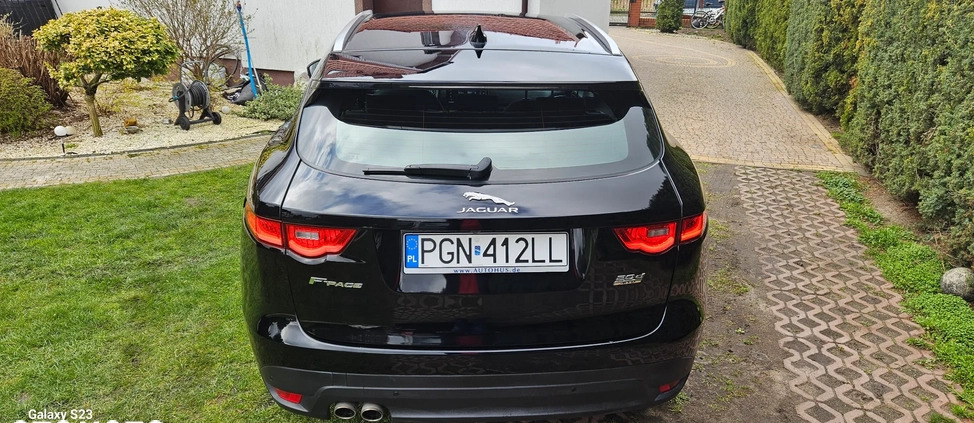 Jaguar F-Pace cena 102900 przebieg: 125150, rok produkcji 2018 z Trzemeszno małe 704